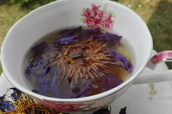 Blue Lotus Tea Recipe