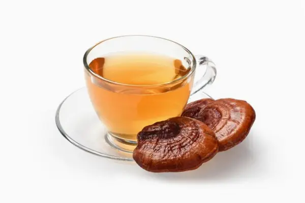 Reishi Mushroom Tea Recipe