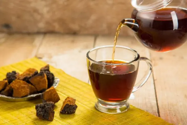 Chaga Mushroom Tea Recipe