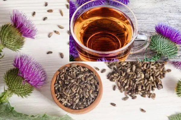 Milk Thistle Tea Recipe