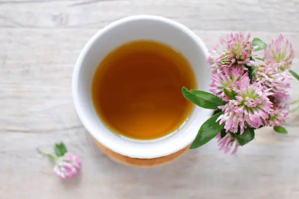 Red Clover Tea Recipe