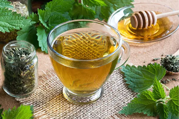 Stinging Nettle Tea Recipe