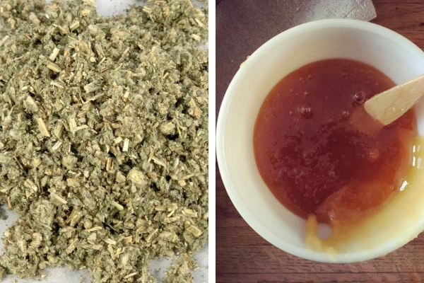 Horehound Tea Recipe